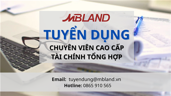 Chuyên viên Cao cấp Tài chính Tổng hợp